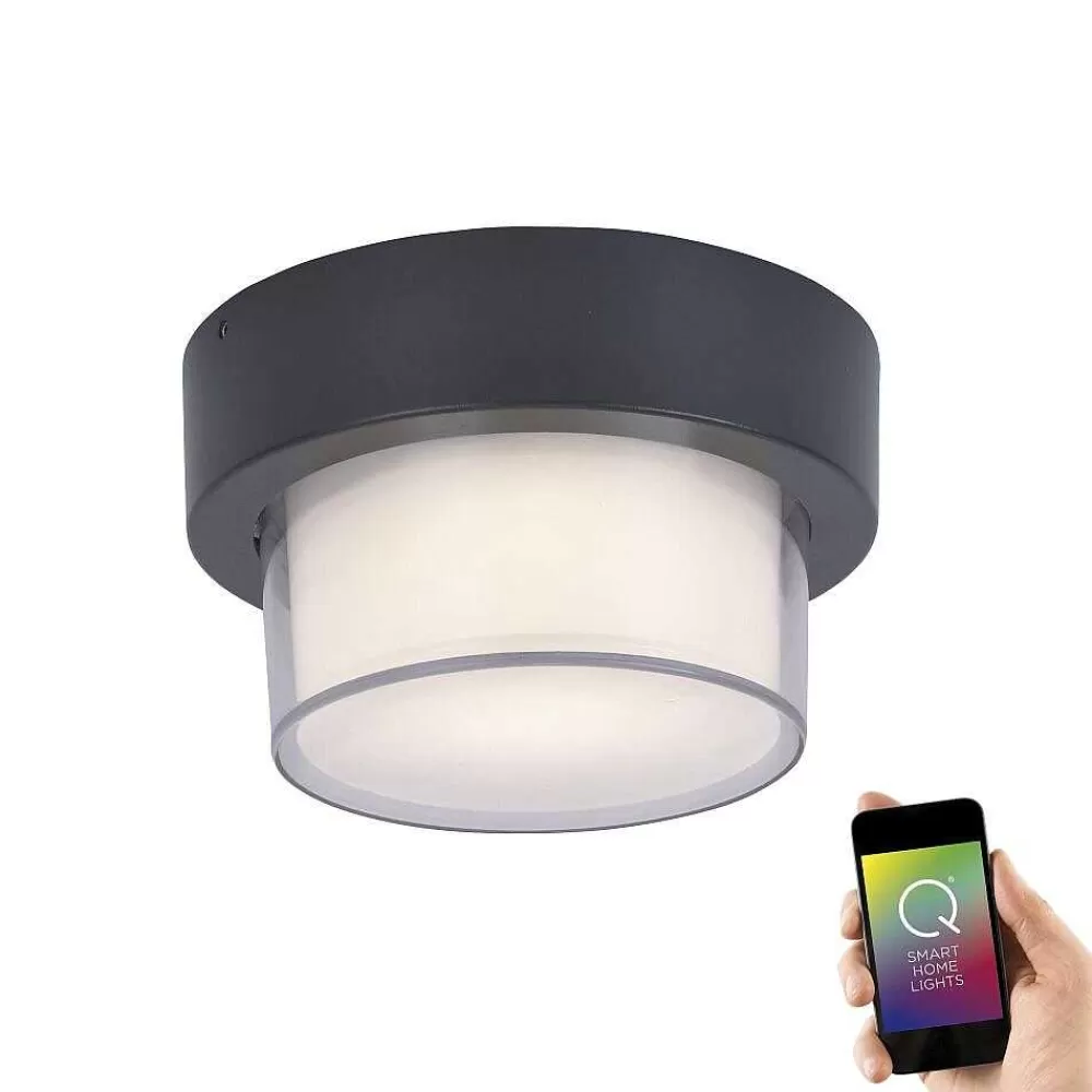 Paul Neuhaus Q-Serie Applique Murale / Plafonnier Paul Neuhaus Q-Erik Led Blanc, 1 Lumiere, Detecteur De Mouvement, Telecommandes, Changeur De Couleurs