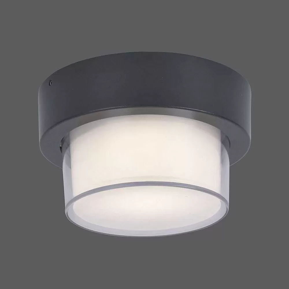 Paul Neuhaus Q-Serie Applique Murale / Plafonnier Paul Neuhaus Q-Erik Led Blanc, 1 Lumiere, Detecteur De Mouvement, Telecommandes, Changeur De Couleurs