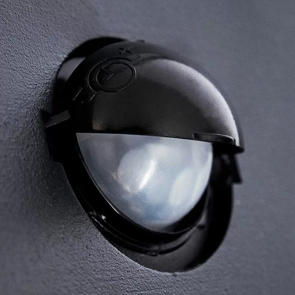 hofstein Applique Murale D'Exterieur Aria Anthracite, 1 Lumiere, Detecteur De Mouvement