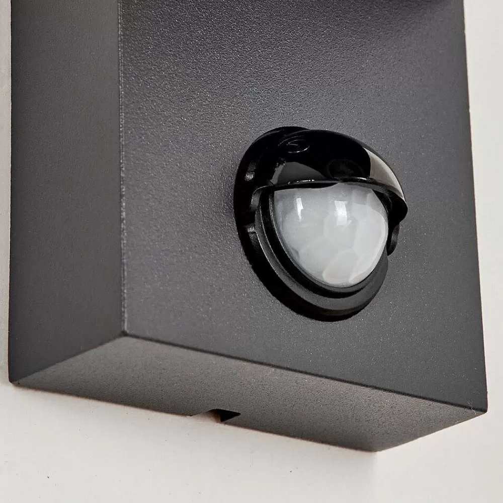 hofstein Applique Murale D'Exterieur Kingstown Anthracite, Transparent, 1 Lumiere, Detecteur De Mouvement