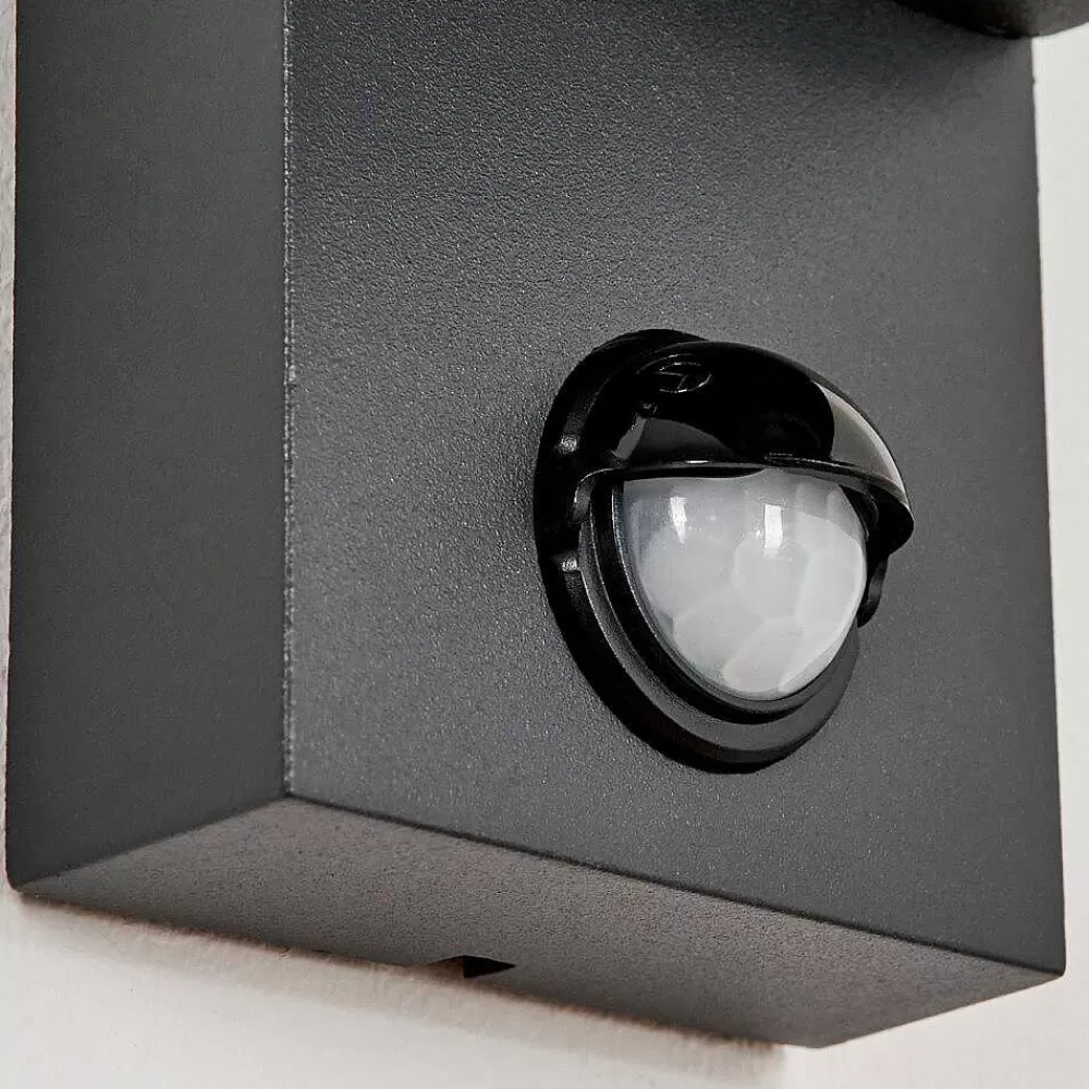 hofstein Applique Murale D'Exterieur Kingstown Anthracite, Transparent, 2 Lumieres, Detecteur De Mouvement