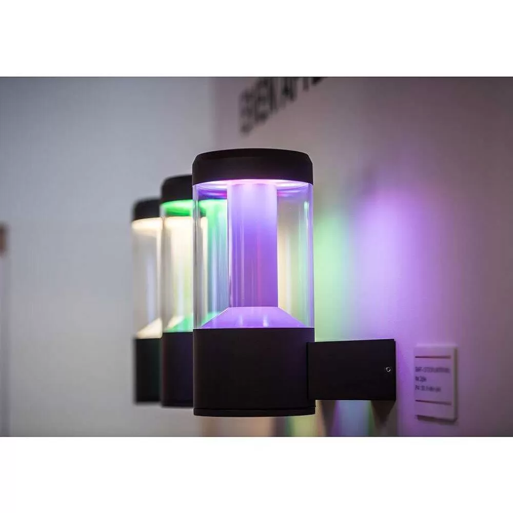 Luminaires Ledvance Applique Murale D'Exterieur Ledvance Smart+ Gris, 1 Lumiere, Changeur De Couleurs