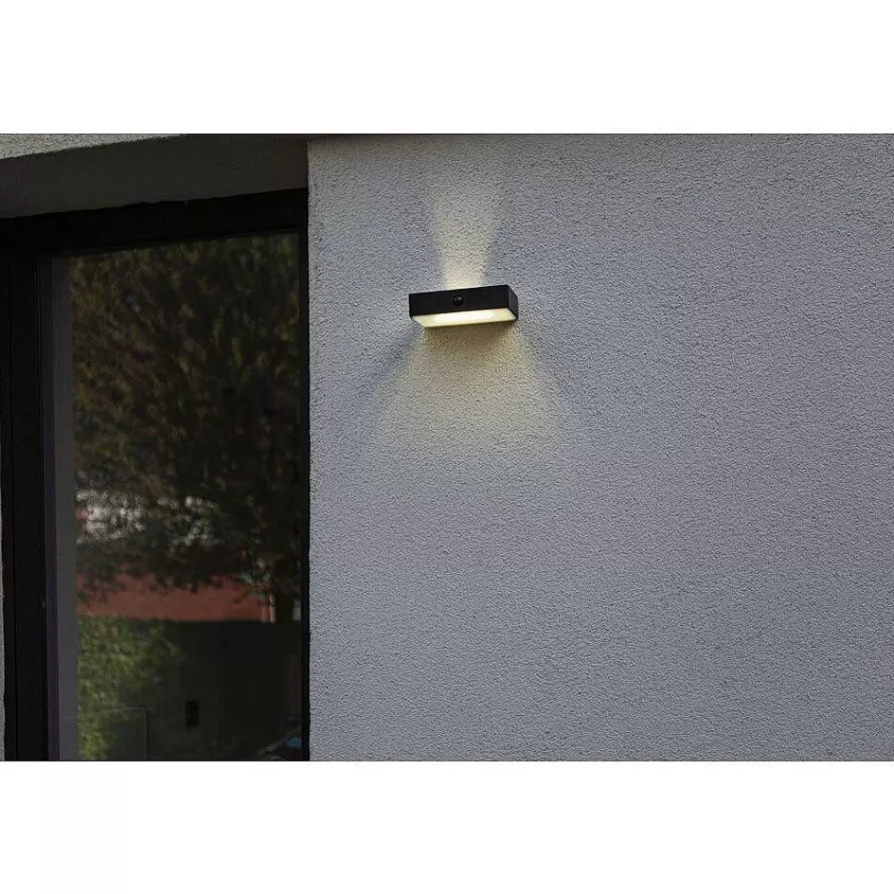 Luminaires Lutec Applique Murale D'Exterieur Lutec Fadi Led Noir, 1 Lumiere, Detecteur De Mouvement