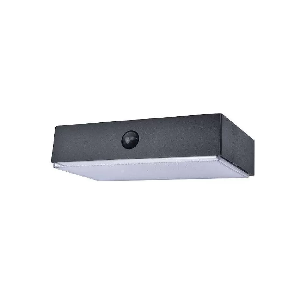 Luminaires Lutec Applique Murale D'Exterieur Lutec Fadi Led Noir, 1 Lumiere, Detecteur De Mouvement