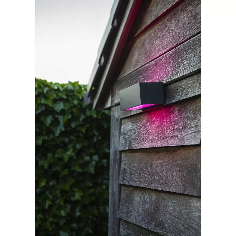 Luminaires Lutec Applique Murale D'Exterieur Lutec Gemini Led Anthracite, 2 Lumieres, Changeur De Couleurs