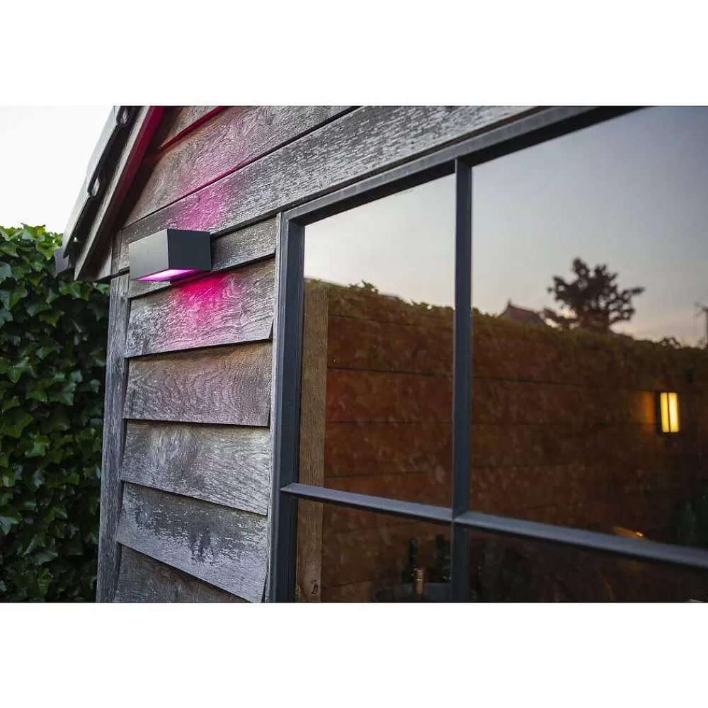 Luminaires Lutec Applique Murale D'Exterieur Lutec Gemini Led Anthracite, 2 Lumieres, Changeur De Couleurs