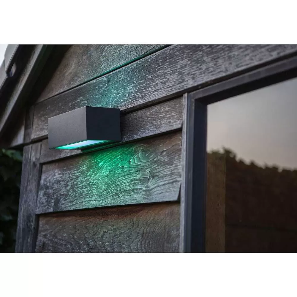 Luminaires Lutec Applique Murale D'Exterieur Lutec Gemini Led Anthracite, 2 Lumieres, Changeur De Couleurs