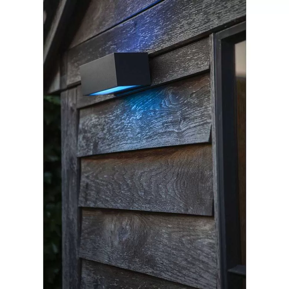 Luminaires Lutec Applique Murale D'Exterieur Lutec Gemini Led Anthracite, 2 Lumieres, Changeur De Couleurs