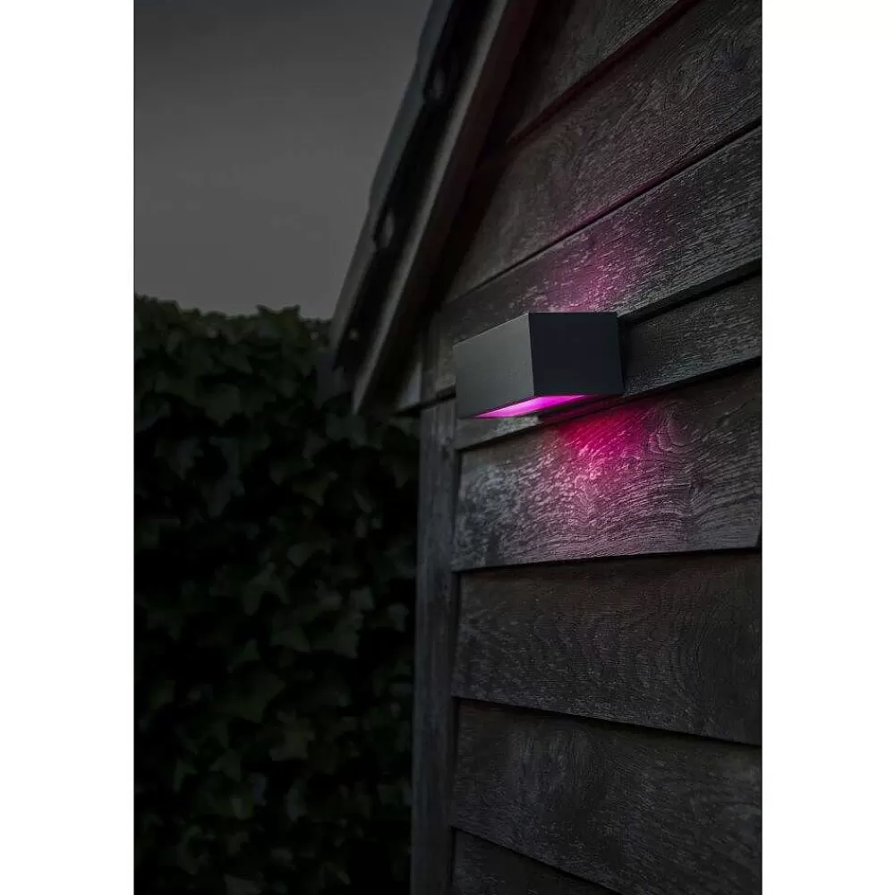 Luminaires Lutec Applique Murale D'Exterieur Lutec Gemini Led Anthracite, 2 Lumieres, Changeur De Couleurs