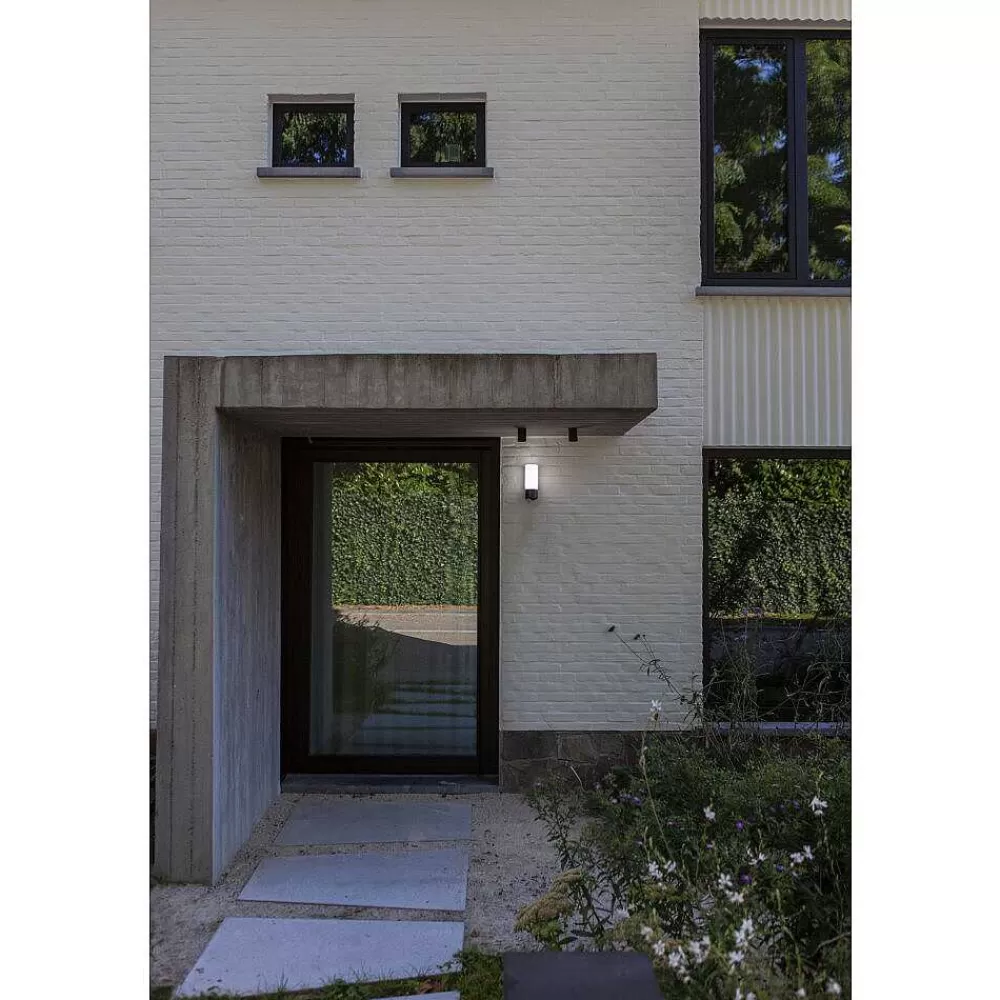 Luminaires Lutec Applique Murale D'Exterieur Lutec Pollux Led Anthracite, 1 Lumiere, Detecteur De Mouvement