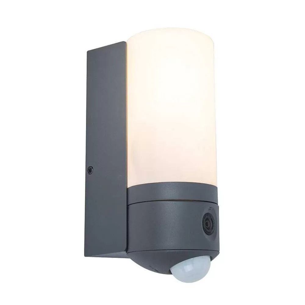 Luminaires Lutec Applique Murale D'Exterieur Lutec Pollux Led Anthracite, 1 Lumiere, Detecteur De Mouvement