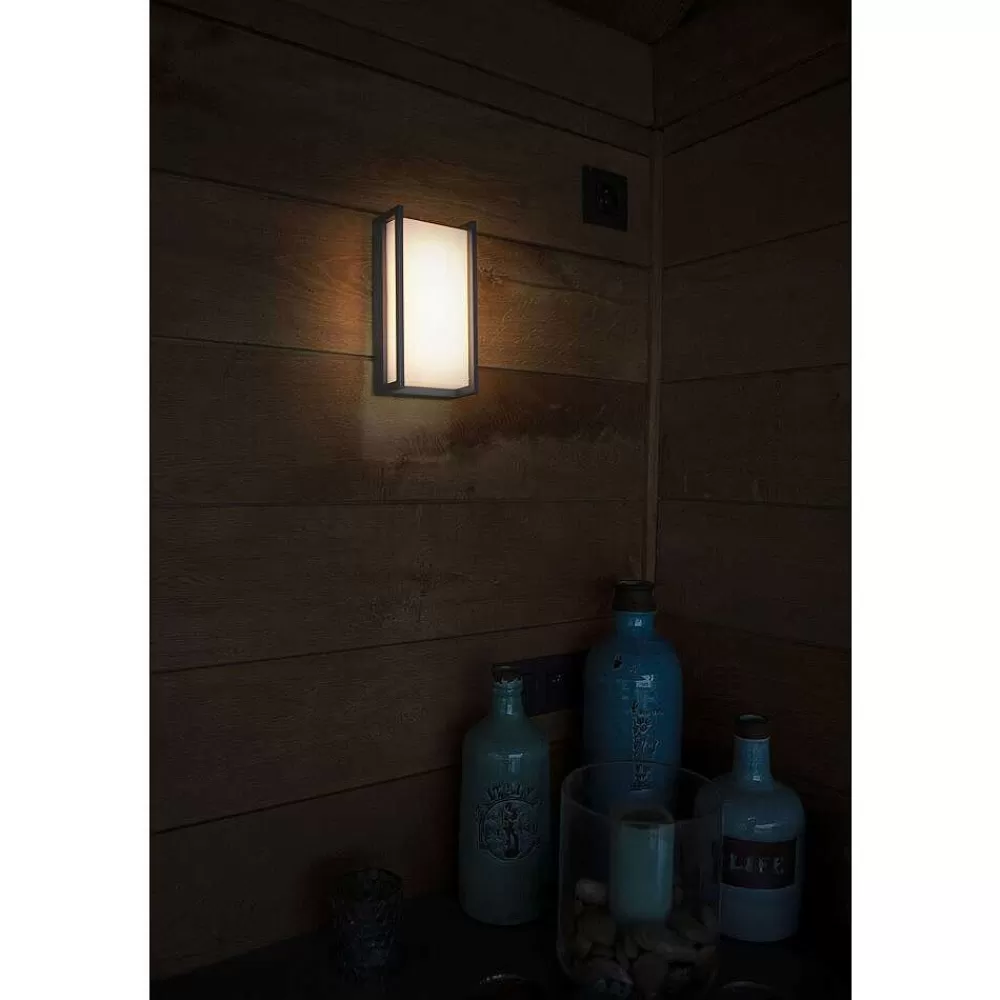 Luminaires Lutec Applique Murale D'Exterieur Lutec Qubo Led Anthracite, 1 Lumiere, Changeur De Couleurs