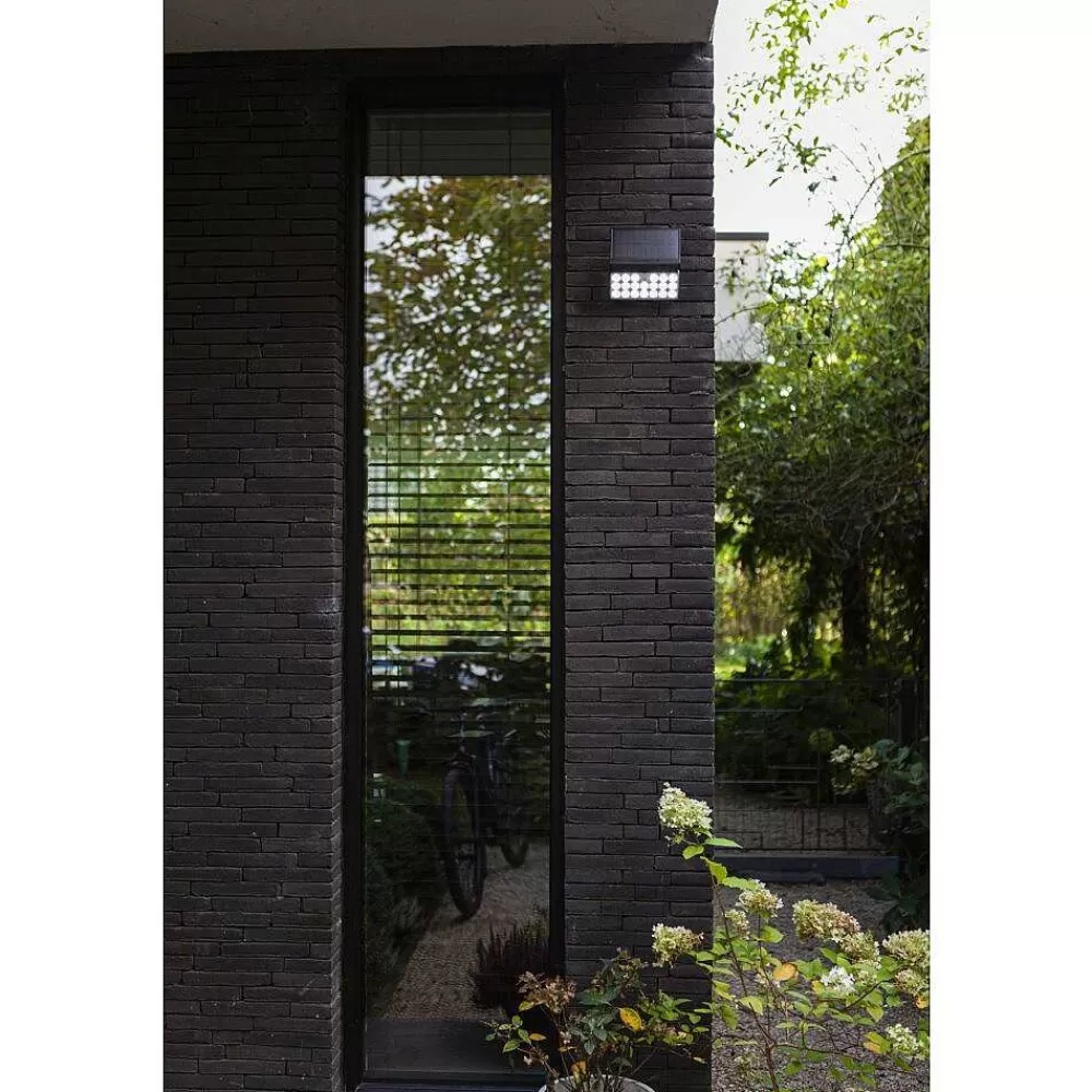 Luminaires Lutec Applique Murale D'Exterieur Lutec Tuda Led Noir, 1 Lumiere, Detecteur De Mouvement