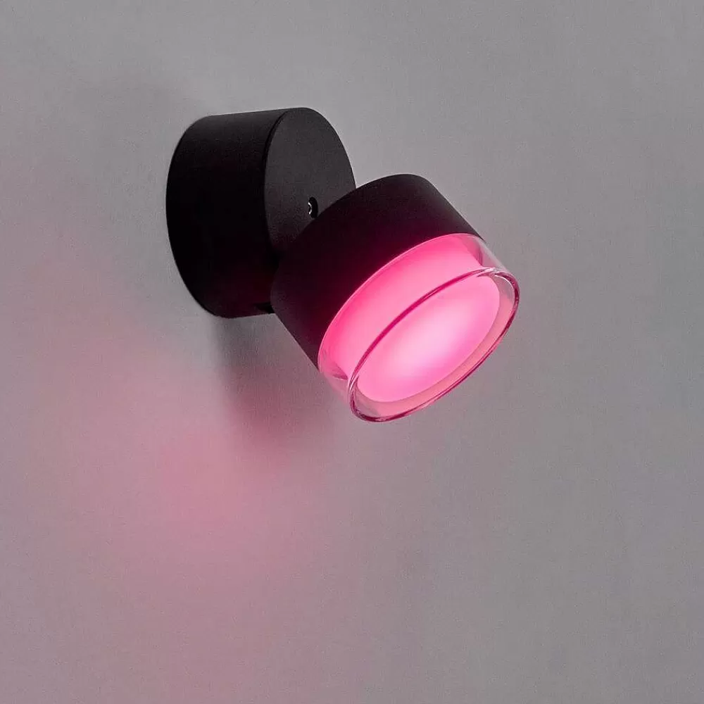 hofstein Applique Murale D'Exterieur Papagayos Led Anthracite, 1 Lumiere, Changeur De Couleurs