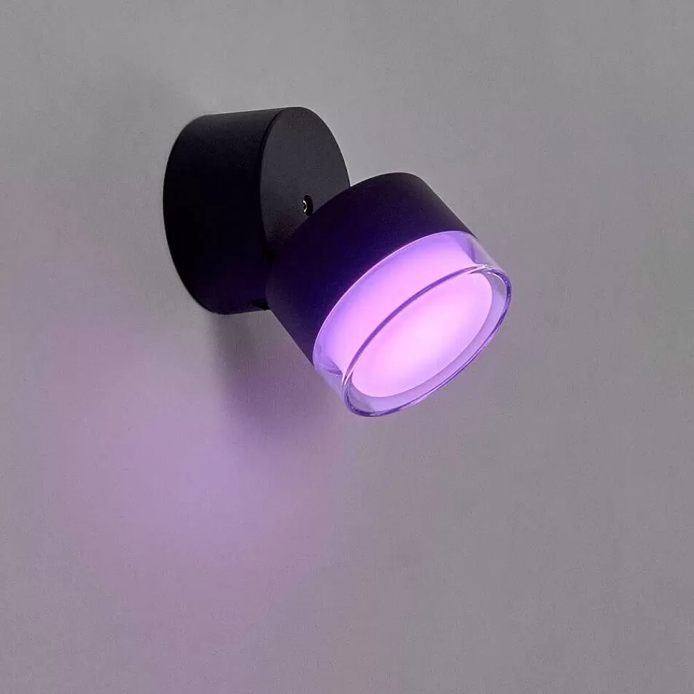 hofstein Applique Murale D'Exterieur Papagayos Led Anthracite, 1 Lumiere, Changeur De Couleurs