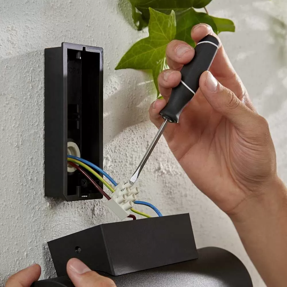 Luminaires Philips Applique Murale D'Exterieur Philips Hue Ambiance White & Color Appear Led Noir, 2 Lumieres, Changeur De Couleurs