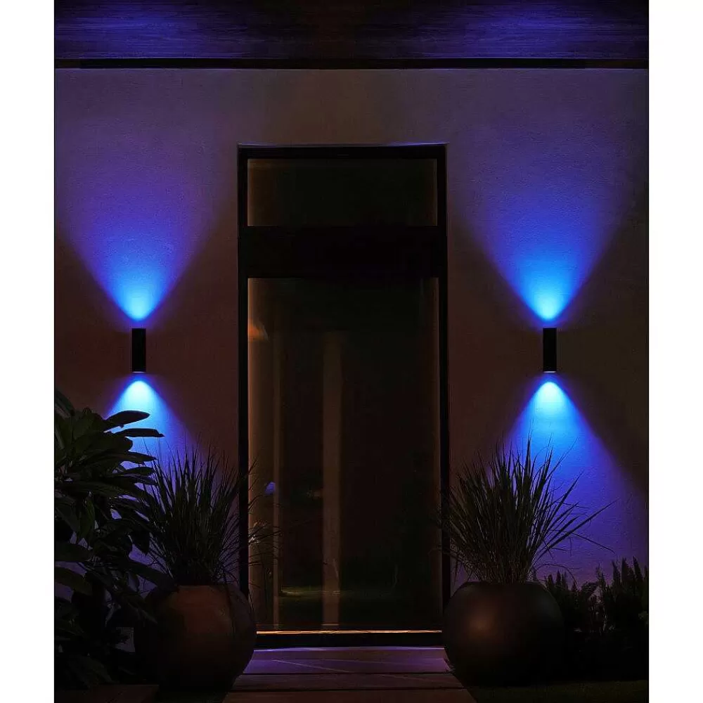 Luminaires Philips Applique Murale D'Exterieur Philips Hue Ambiance White & Color Appear Led Noir, 2 Lumieres, Changeur De Couleurs