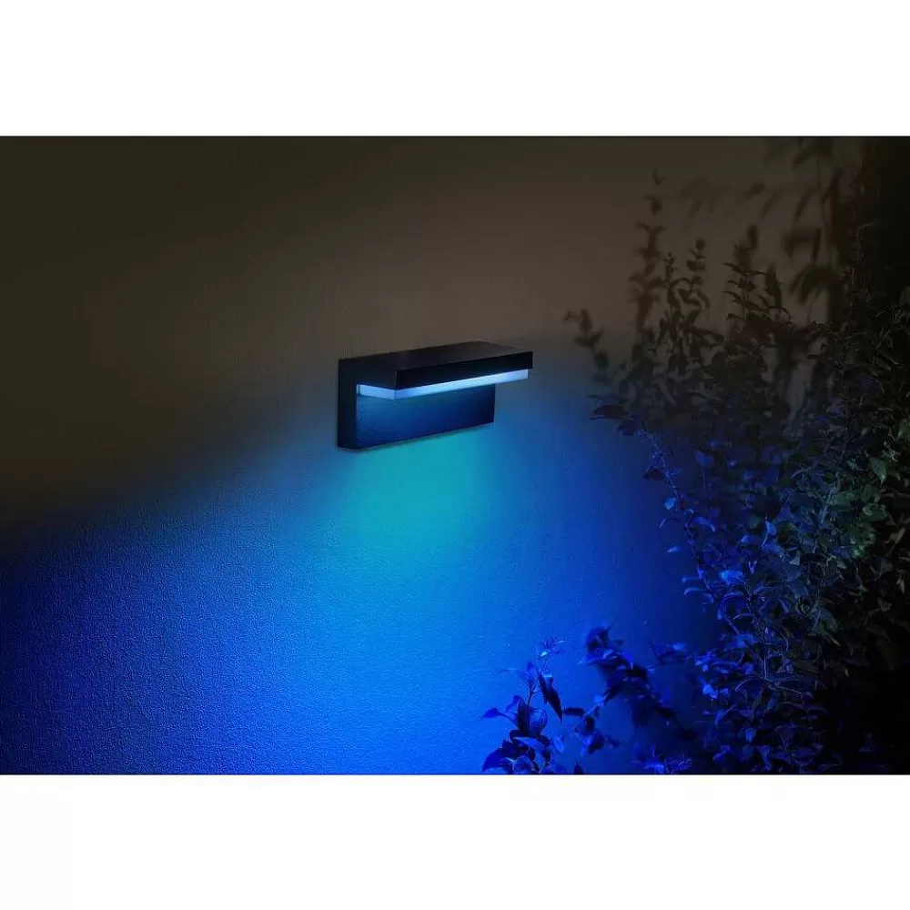 Luminaires Philips Applique Murale D'Exterieur Philips Hue Nyro Led Noir, 1 Lumiere, Changeur De Couleurs