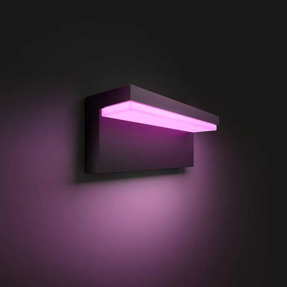 Luminaires Philips Applique Murale D'Exterieur Philips Hue Nyro Led Noir, 1 Lumiere, Changeur De Couleurs