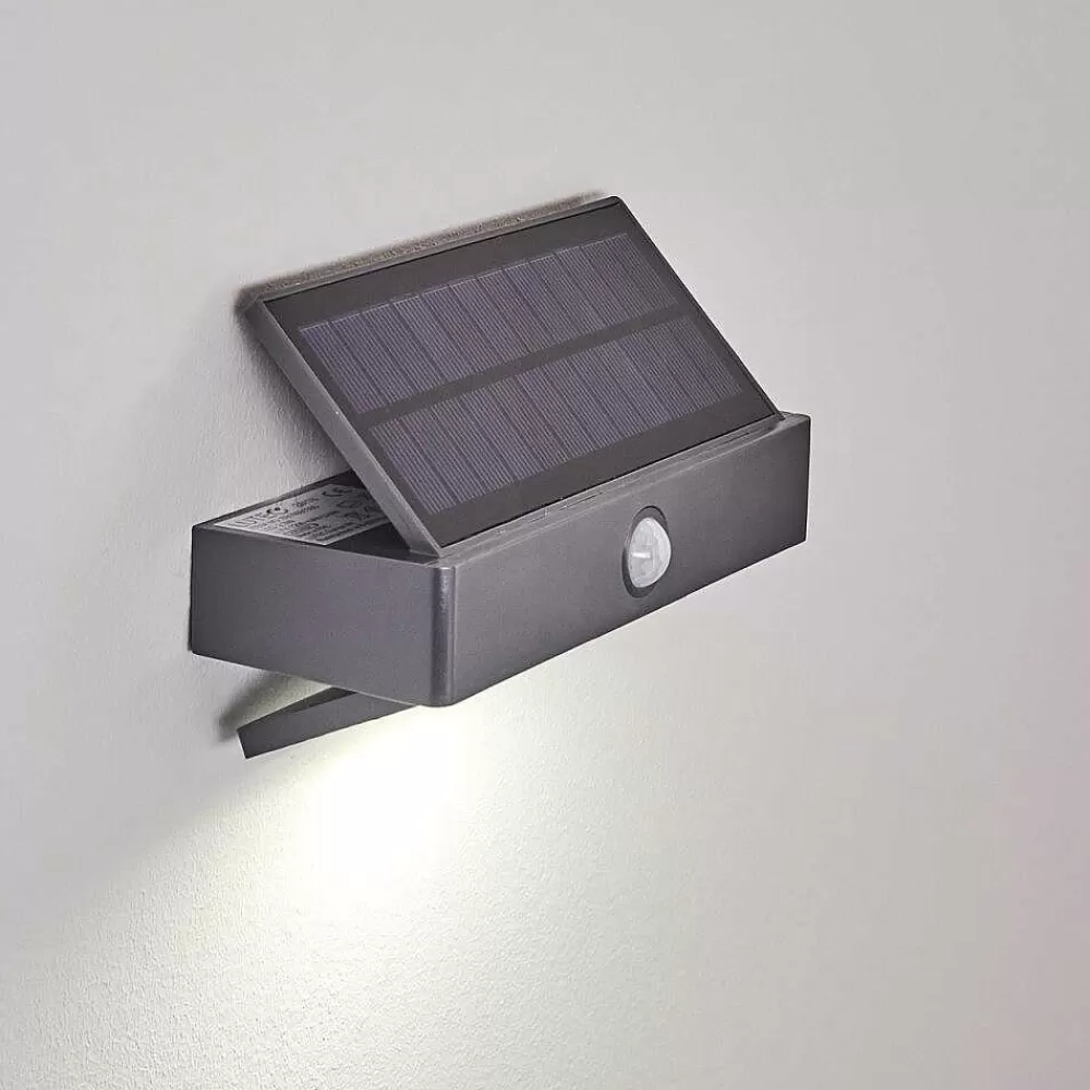 hofstein Applique Murale D'Exterieur Wiborg Led Anthracite, 1 Lumiere, Detecteur De Mouvement