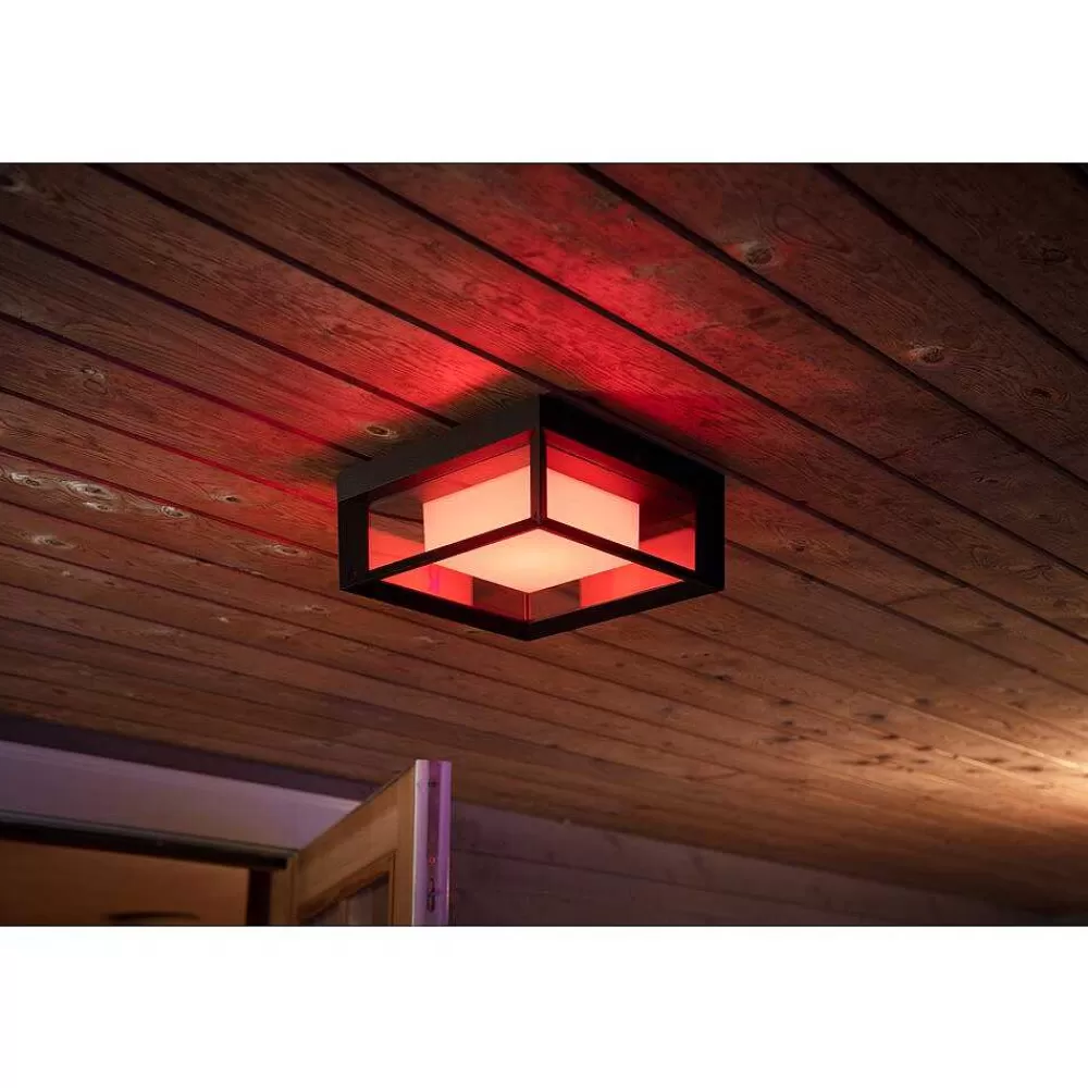 Luminaires Philips Applique Murale Philips Hue Ambiance White & Color Econic Led Noir, 1 Lumiere, Changeur De Couleurs