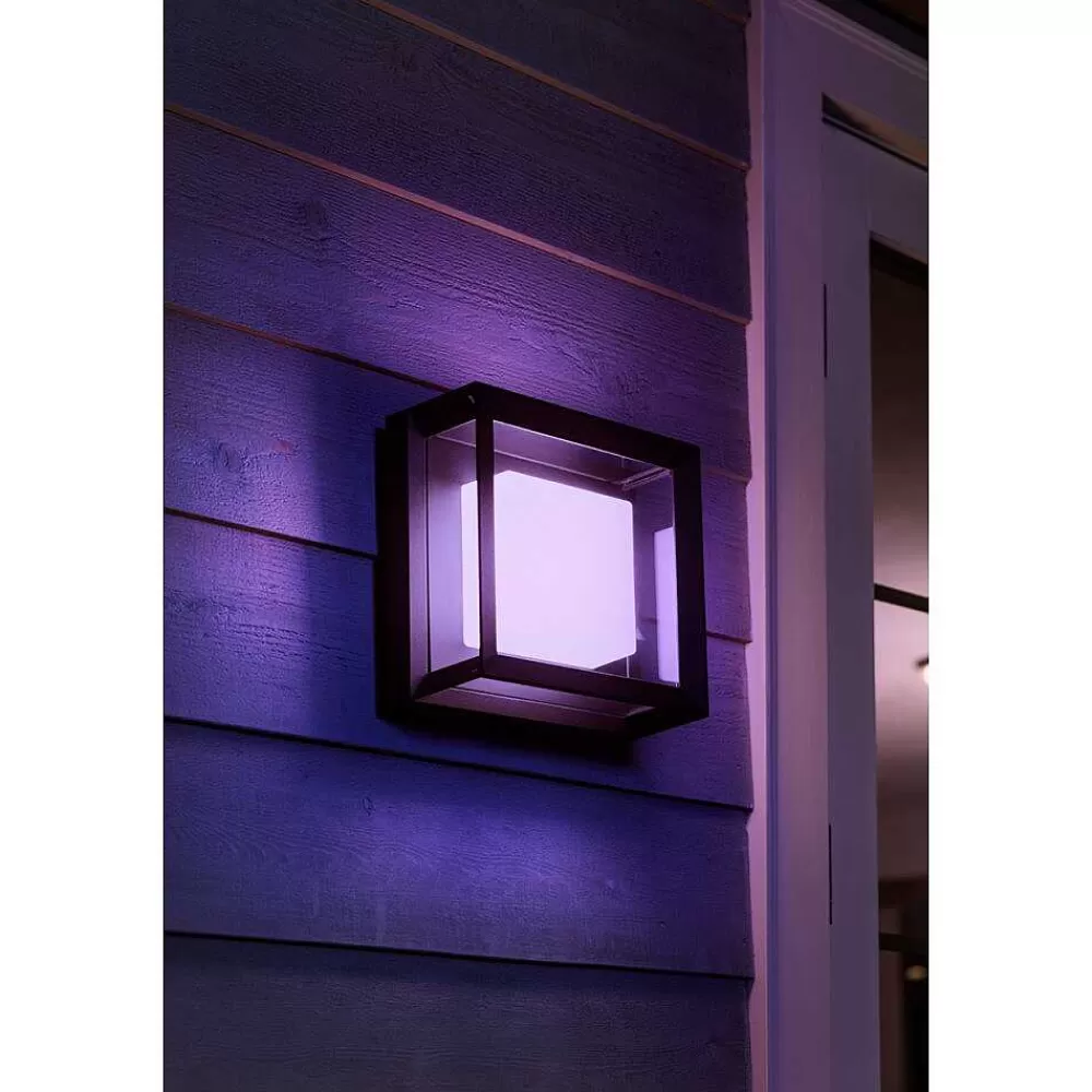 Luminaires Philips Applique Murale Philips Hue Ambiance White & Color Econic Led Noir, 1 Lumiere, Changeur De Couleurs