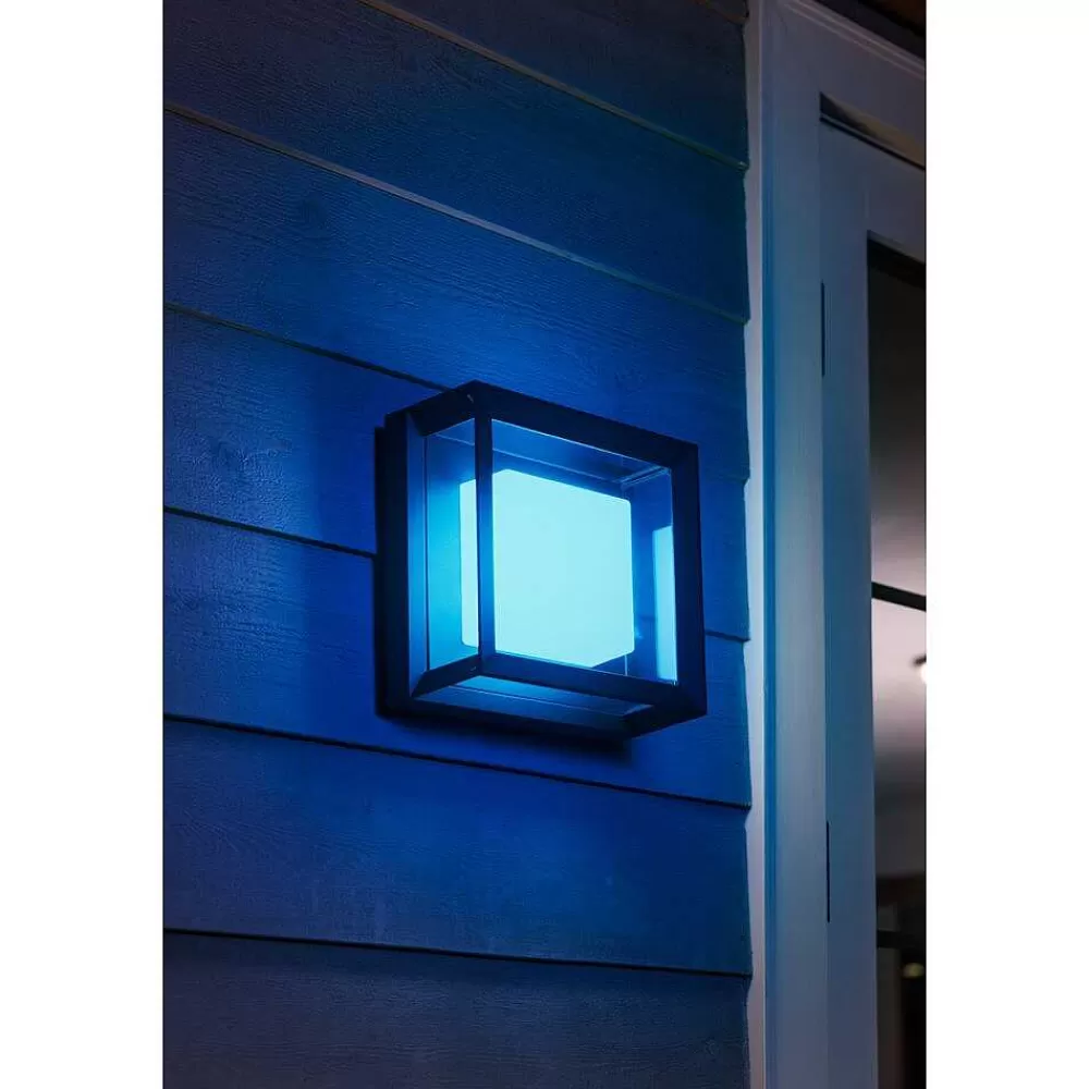 Luminaires Philips Applique Murale Philips Hue Ambiance White & Color Econic Led Noir, 1 Lumiere, Changeur De Couleurs
