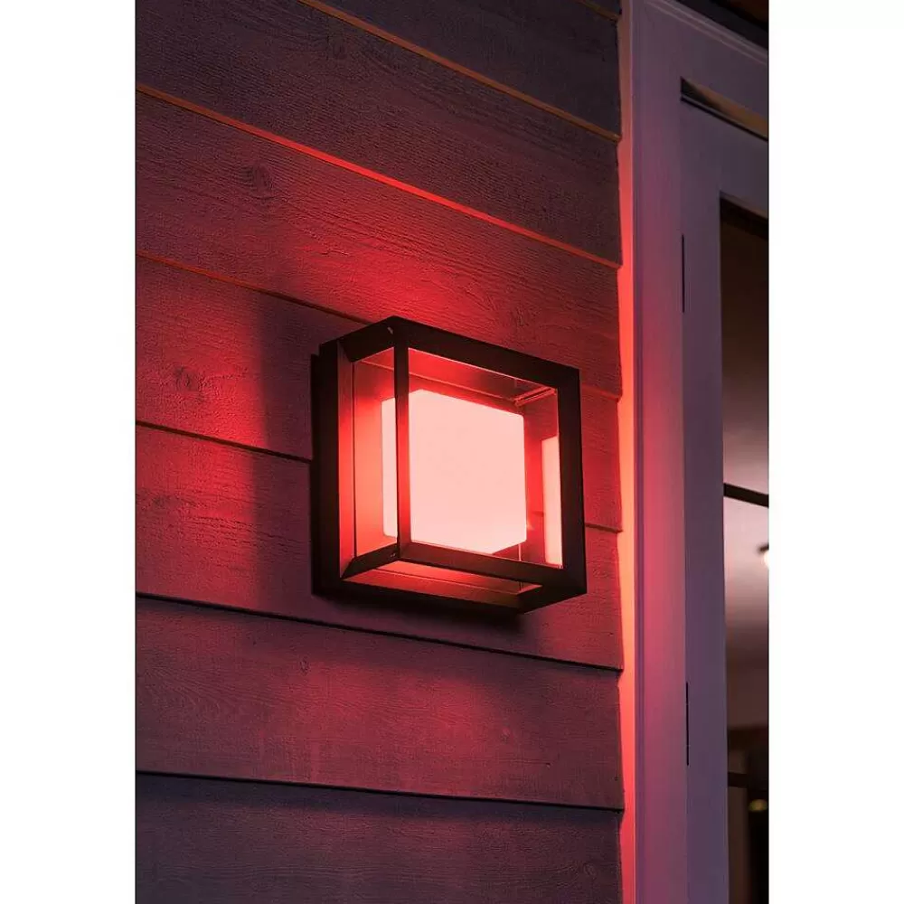 Luminaires Philips Applique Murale Philips Hue Ambiance White & Color Econic Led Noir, 1 Lumiere, Changeur De Couleurs
