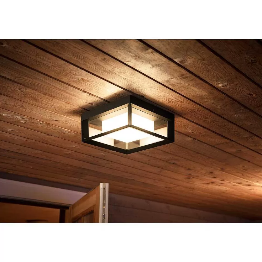 Luminaires Philips Applique Murale Philips Hue Ambiance White & Color Econic Led Noir, 1 Lumiere, Changeur De Couleurs