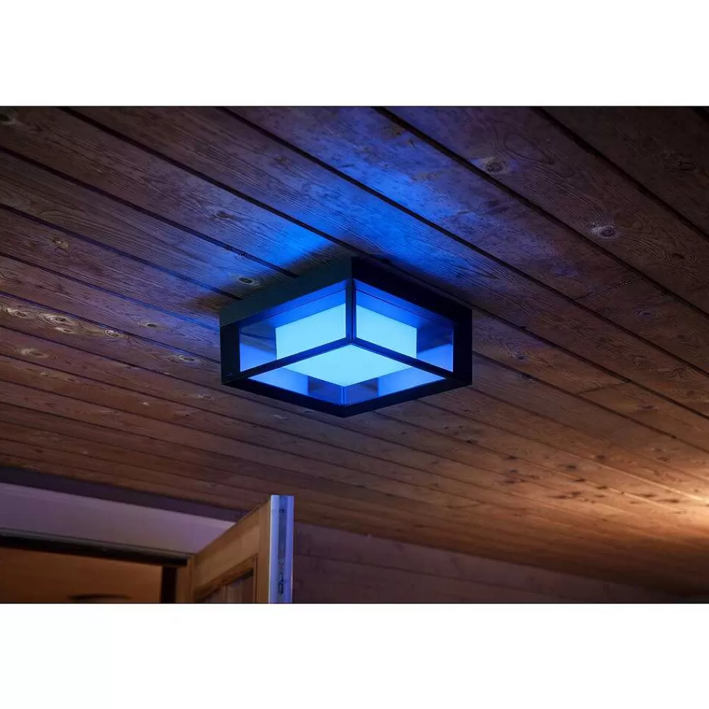 Luminaires Philips Applique Murale Philips Hue Ambiance White & Color Econic Led Noir, 1 Lumiere, Changeur De Couleurs