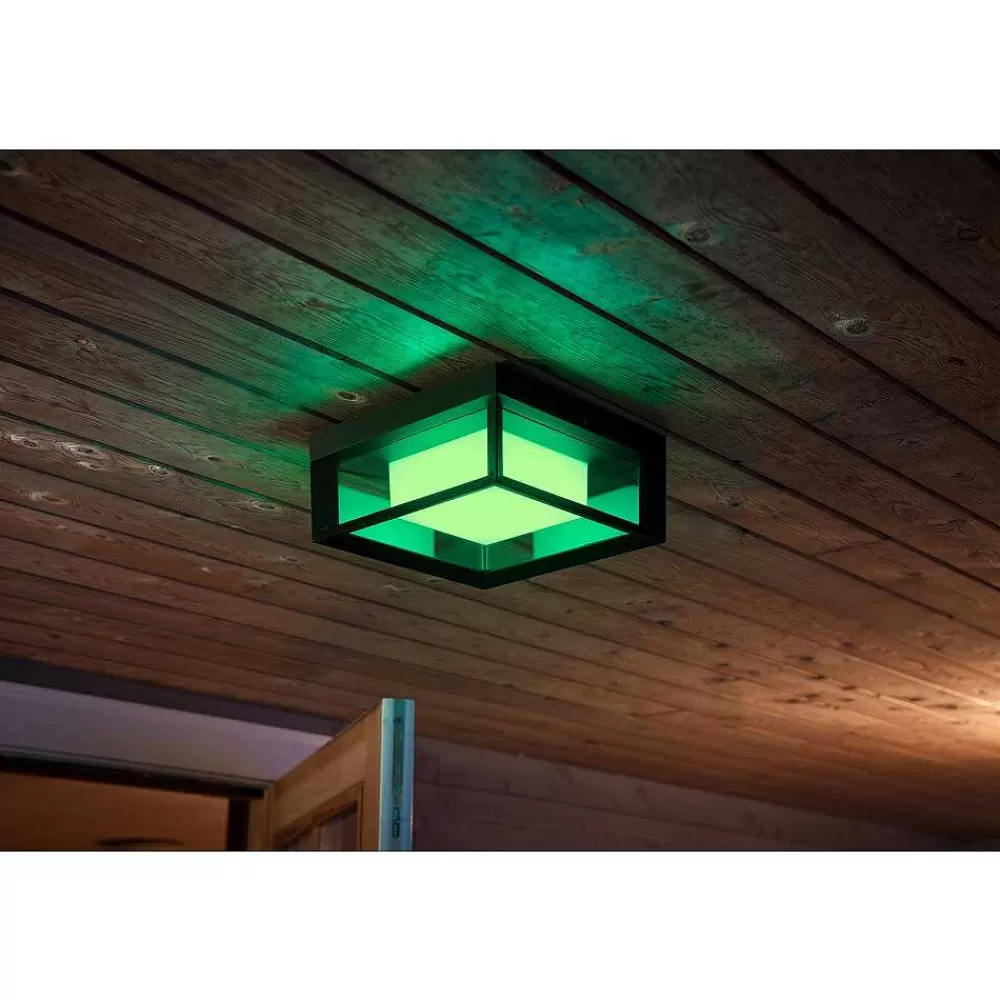 Luminaires Philips Applique Murale Philips Hue Ambiance White & Color Econic Led Noir, 1 Lumiere, Changeur De Couleurs