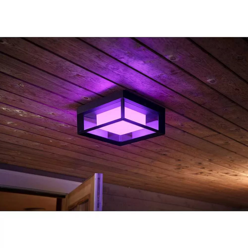 Luminaires Philips Applique Murale Philips Hue Ambiance White & Color Econic Led Noir, 1 Lumiere, Changeur De Couleurs