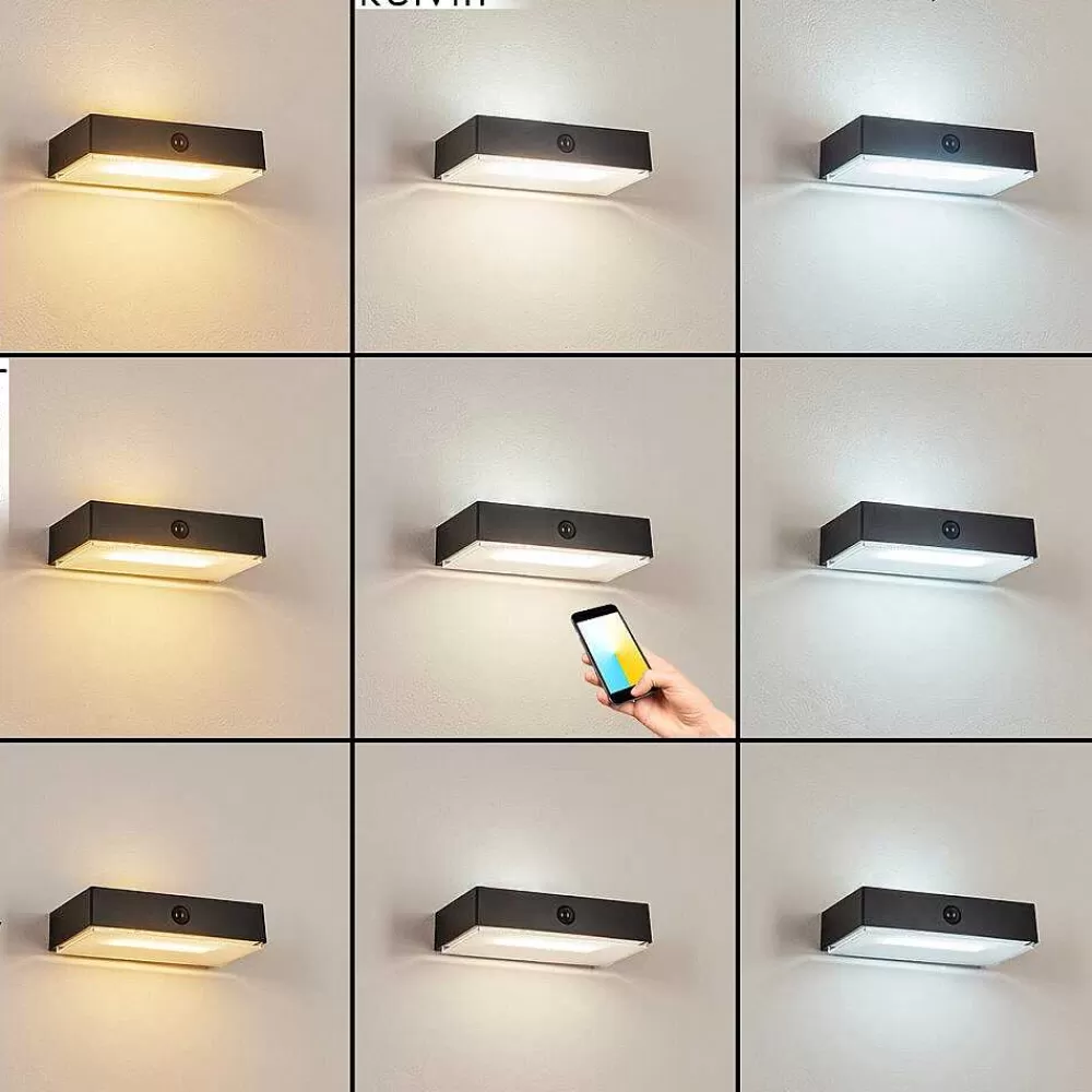 hofstein Applique Solaire Seilhac Led Noir, 1 Lumiere, Detecteur De Mouvement
