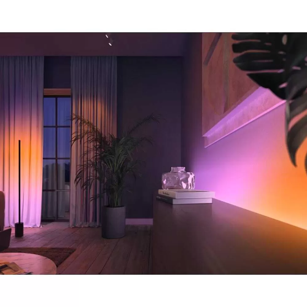 Luminaires Philips Bande Led Philips Hue Gradient Ambience Blanc, 1 Lumiere, Changeur De Couleurs