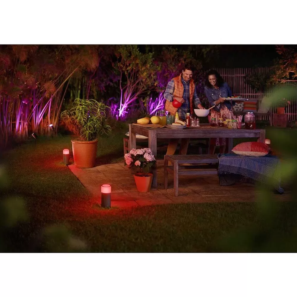 Luminaires Philips Borne D'Éclairage, Kit D'Extension Philips Hue Ambiance White & Color Calla Led Noir, 1 Lumiere, Changeur De Couleurs