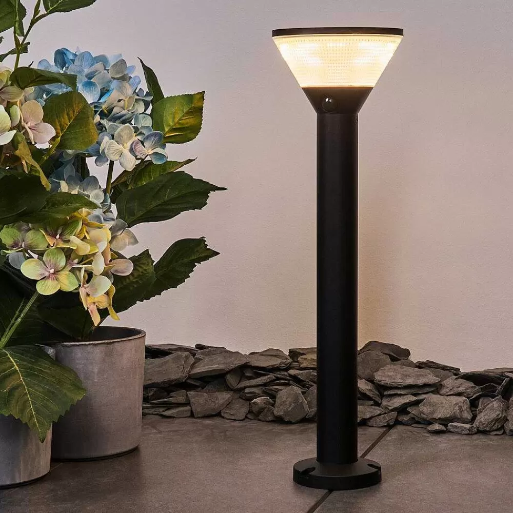 hofstein Borne Lumineuse Joennierni Led Noir, 1 Lumiere, Detecteur De Mouvement, Changeur De Couleurs