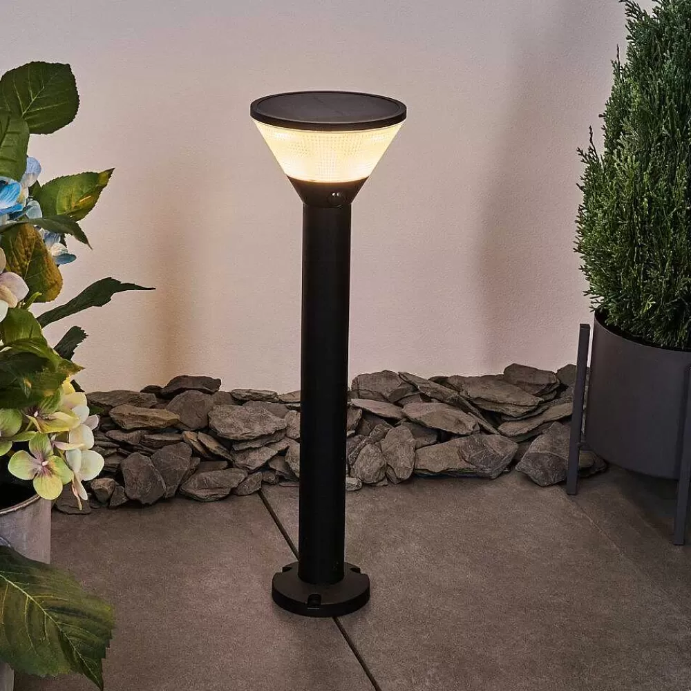 hofstein Borne Lumineuse Joennierni Led Noir, 1 Lumiere, Detecteur De Mouvement, Changeur De Couleurs