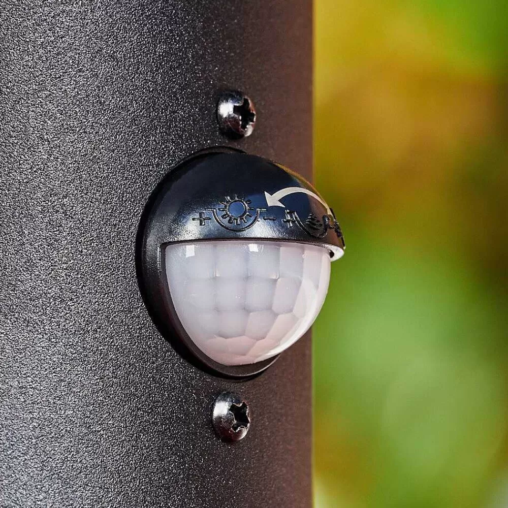 hofstein Borne Lumineuse Sumalao Noir, 1 Lumiere, Detecteur De Mouvement