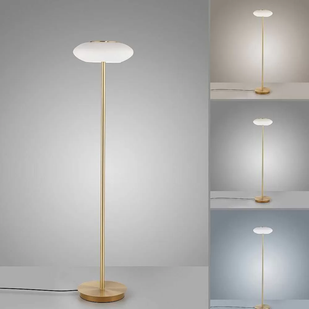 Paul Neuhaus Q-Serie Lampadaire Paul Neuhaus Q-Etienne Led Laiton, 1 Lumiere, Telecommandes