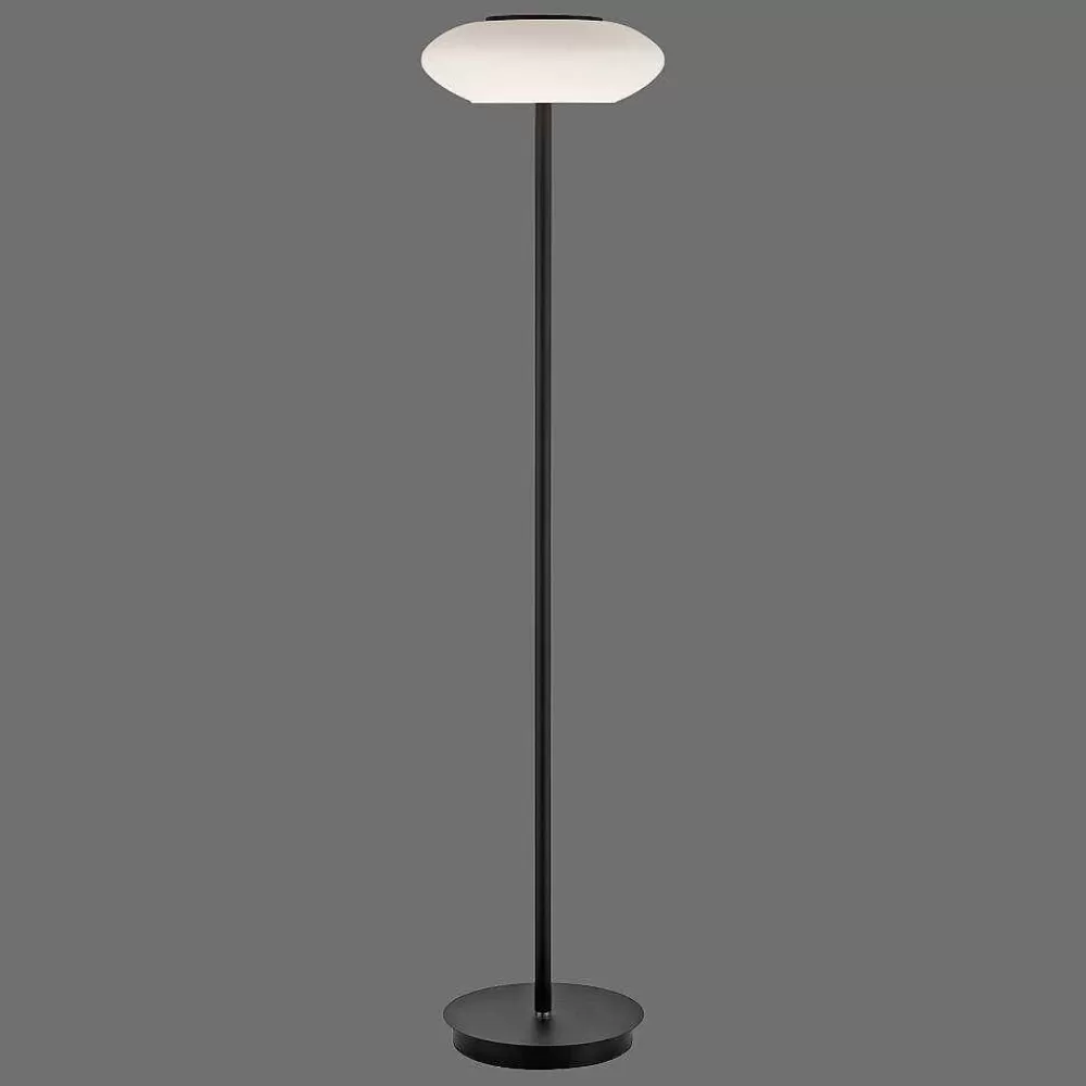 Paul Neuhaus Q-Serie Lampadaire Paul Neuhaus Q-Etienne Led Noir, 1 Lumiere, Telecommandes