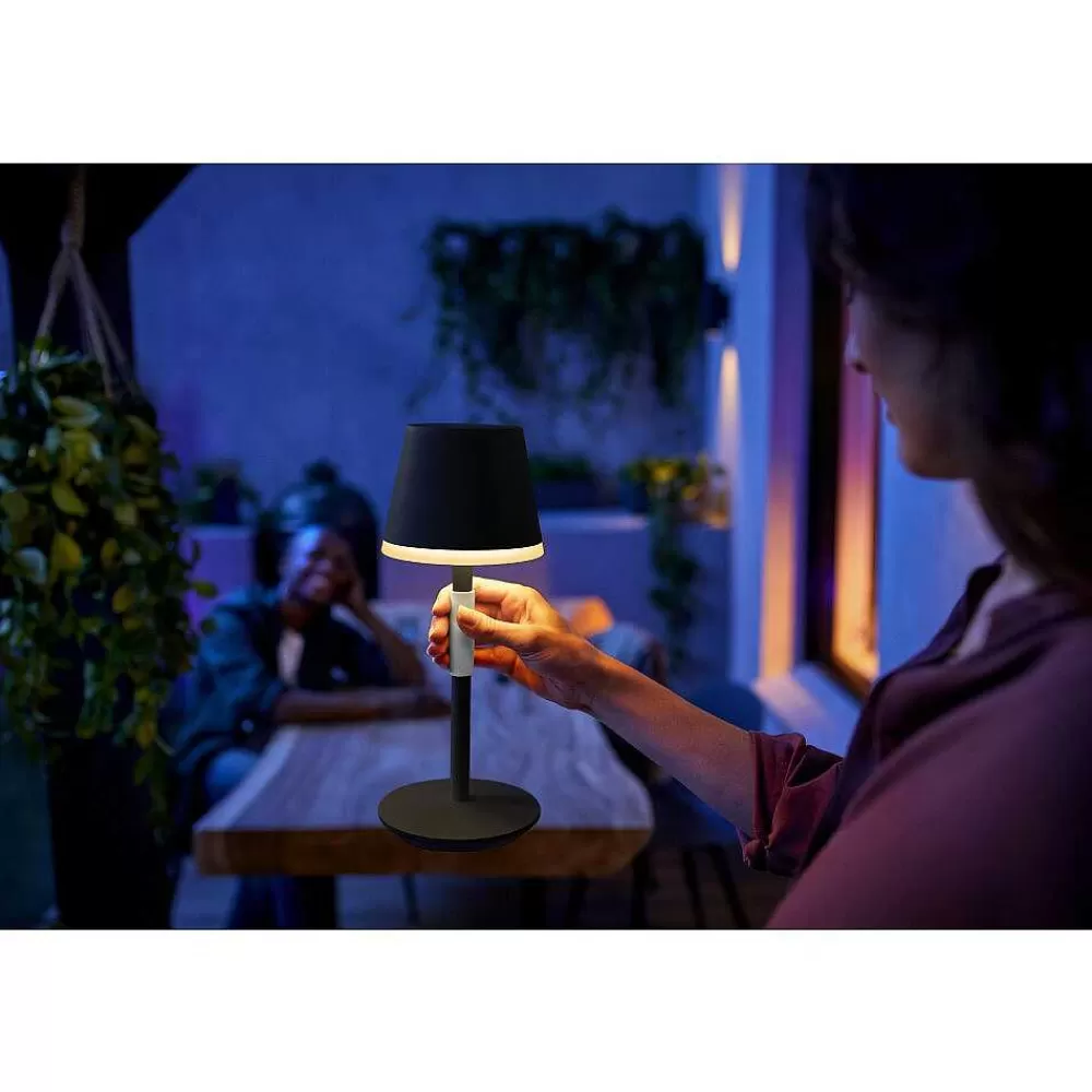 Luminaires Philips Lampe A Poser Philips Hue Go Led Gris, Noir, 1 Lumiere, Changeur De Couleurs