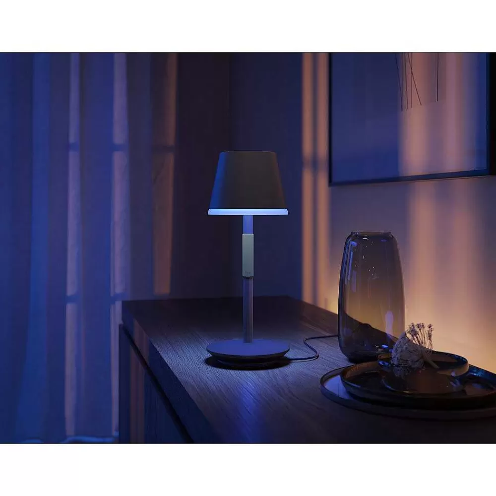 Luminaires Philips Lampe A Poser Philips Hue Go Led Gris, Noir, 1 Lumiere, Changeur De Couleurs
