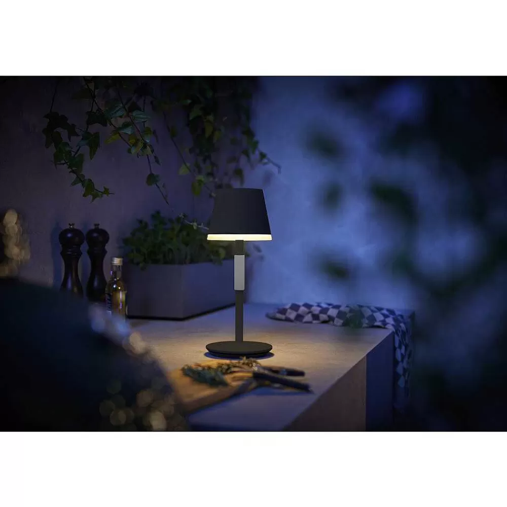 Luminaires Philips Lampe A Poser Philips Hue Go Led Gris, Noir, 1 Lumiere, Changeur De Couleurs