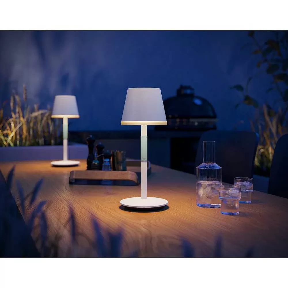 Luminaires Philips Lampe A Poser Philips Hue Go Led Vert, Blanc, 1 Lumiere, Changeur De Couleurs