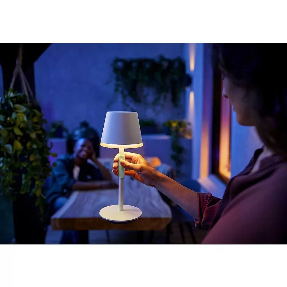 Luminaires Philips Lampe A Poser Philips Hue Go Led Vert, Blanc, 1 Lumiere, Changeur De Couleurs