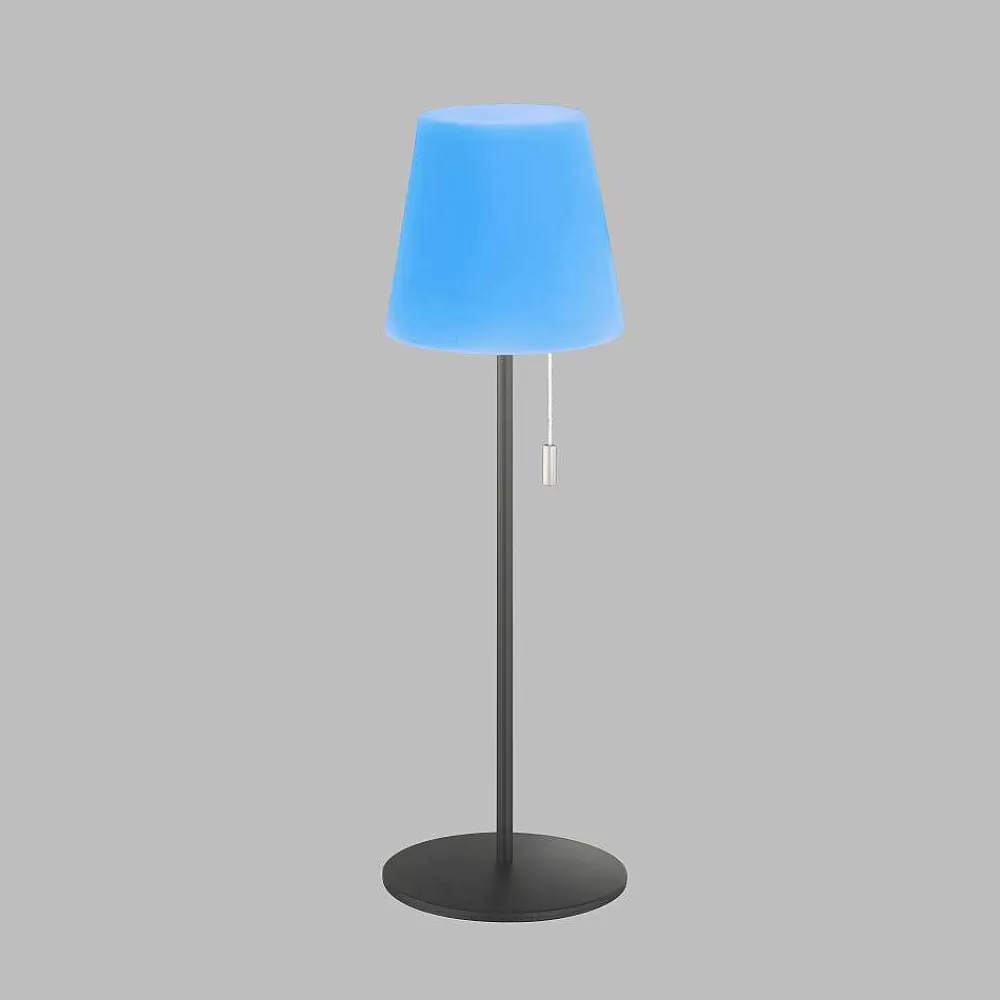 SCHÖNER WOHNEN-Kollektion Lampe A Poser Schoner Wohnen-Kollektion Talent Led Anthracite, 1 Lumiere, Telecommandes, Changeur De Couleurs
