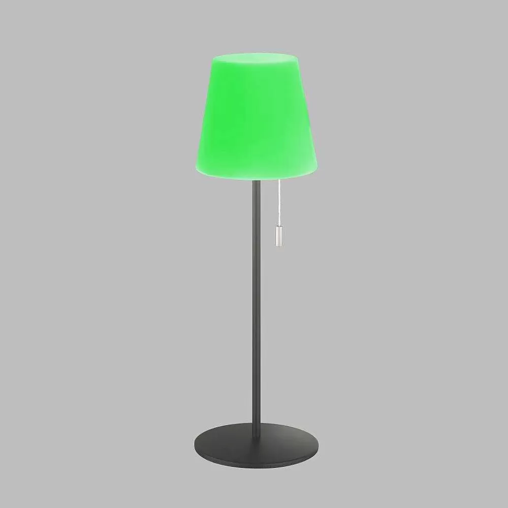 SCHÖNER WOHNEN-Kollektion Lampe A Poser Schoner Wohnen-Kollektion Talent Led Anthracite, 1 Lumiere, Telecommandes, Changeur De Couleurs