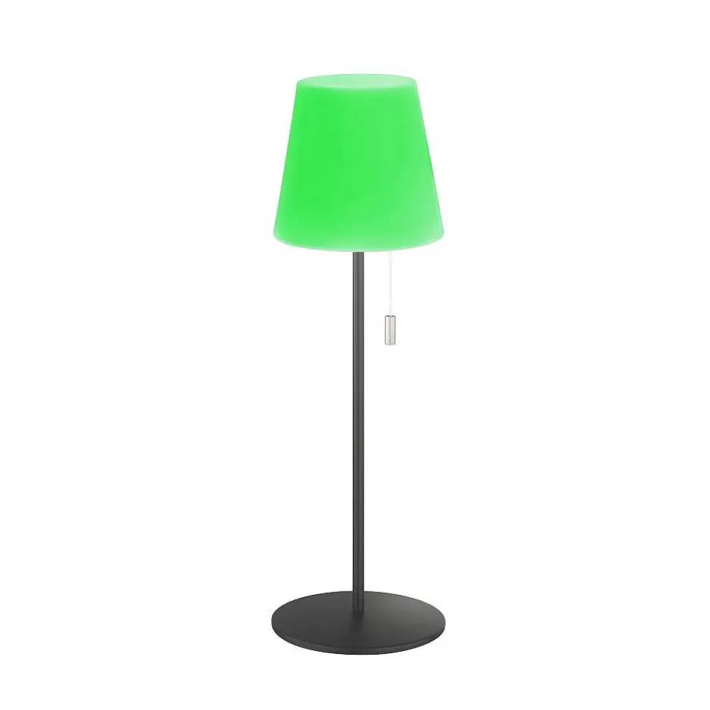 SCHÖNER WOHNEN-Kollektion Lampe A Poser Schoner Wohnen-Kollektion Talent Led Anthracite, 1 Lumiere, Telecommandes, Changeur De Couleurs