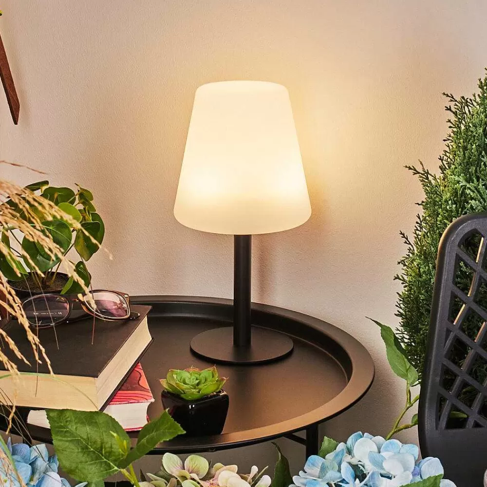 hofstein Lampe A Poser Zoume Solar Led Noir, 8 Lumieres, Changeur De Couleurs