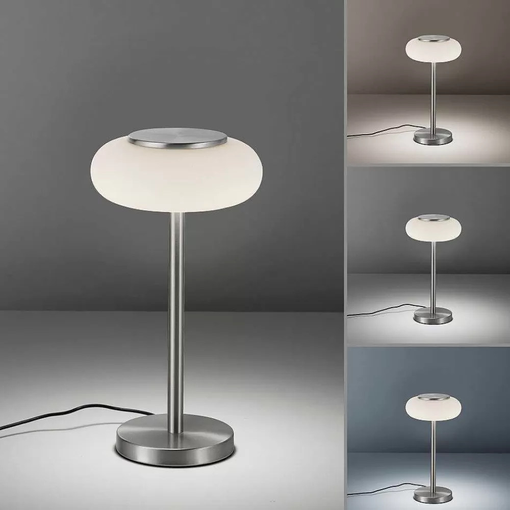 Paul Neuhaus Q-Serie Lampe De Table Paul Neuhaus Q-Etienne Led Acier Brosse, 1 Lumiere, Telecommandes
